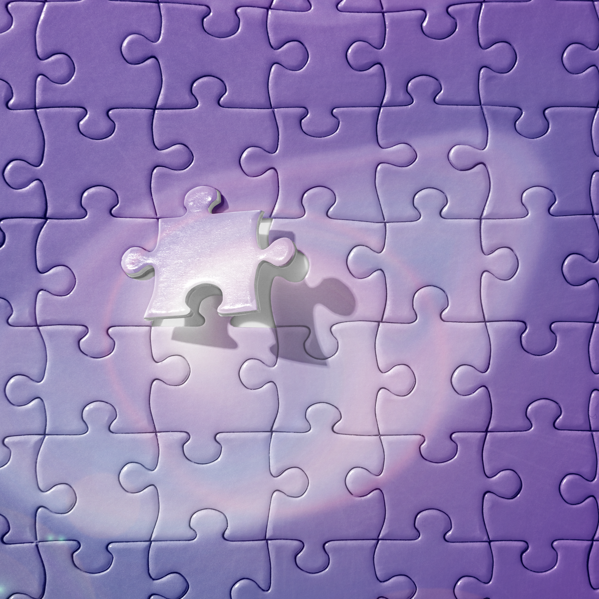 Hidden Reservoir BeSculpt Kids Jigsaw Puzzle R