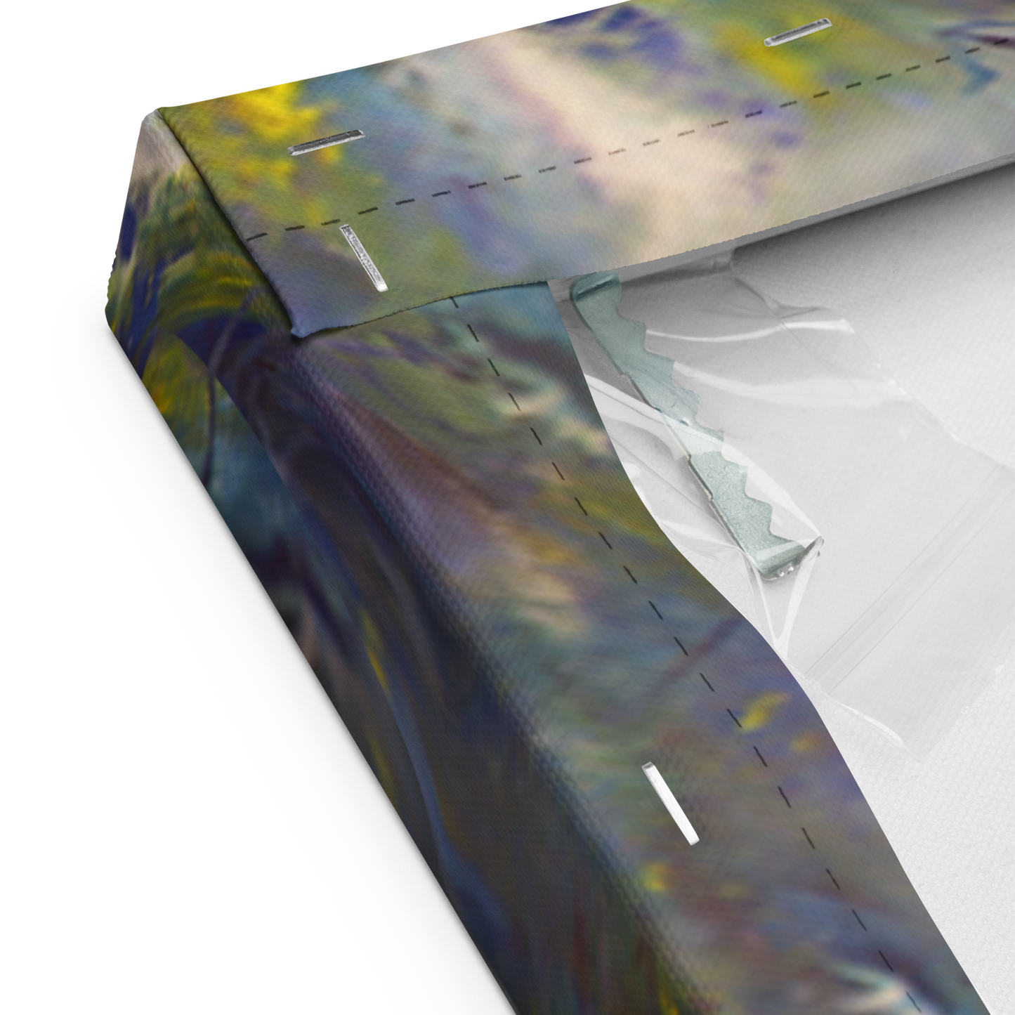 My Marine Sanctuary BeSculpt Giclée on Canvas