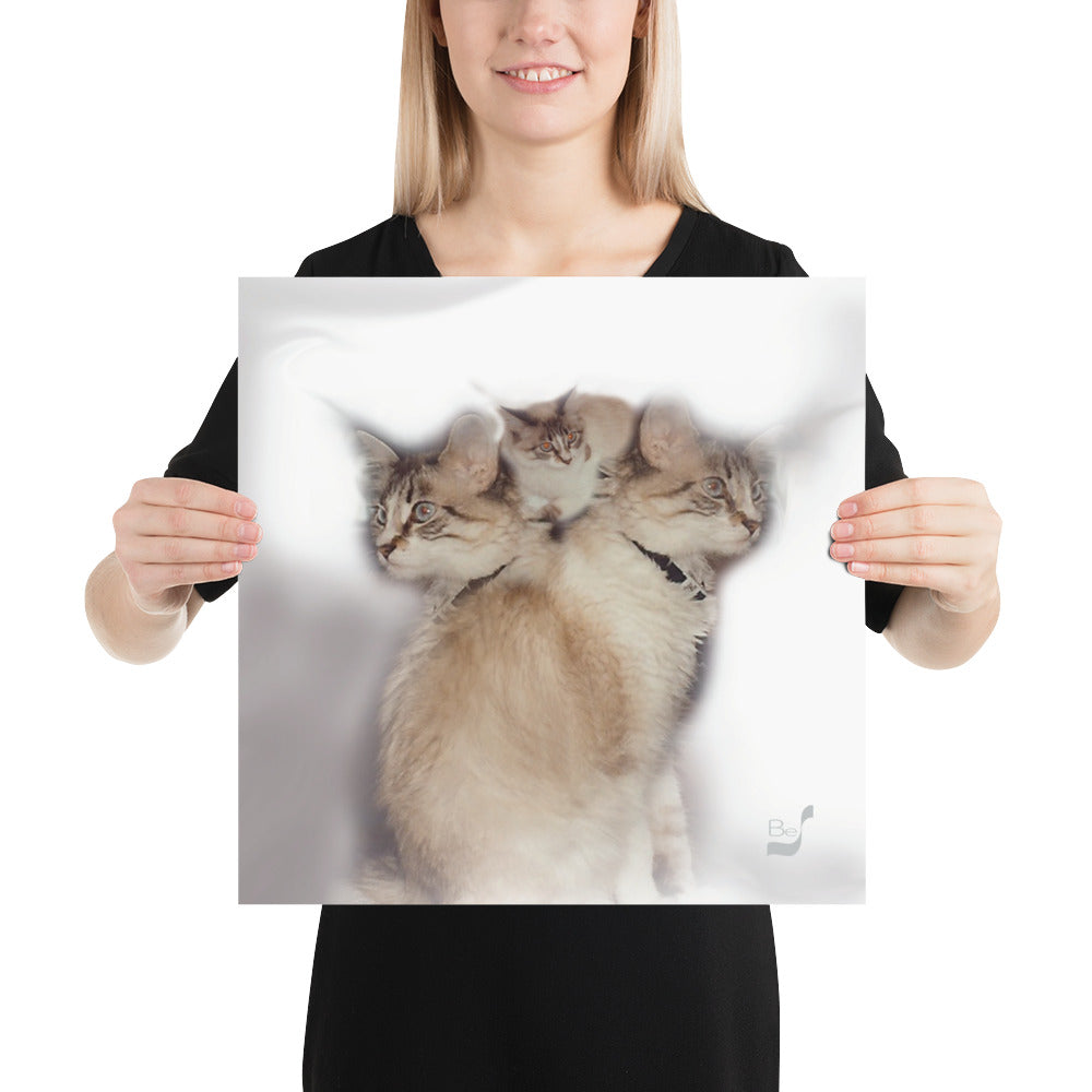 Kitti-Kitti BeSculpt Photo-Art Print