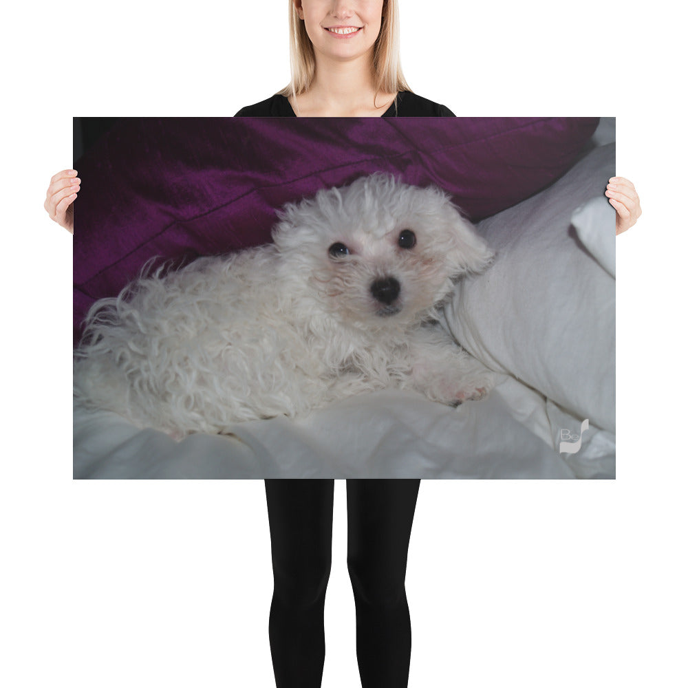 Hello! BeSculpt Photo-Art Print