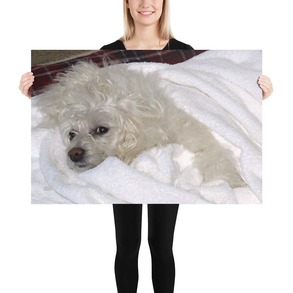 Relaxing BeSculpt Photo-Art Print