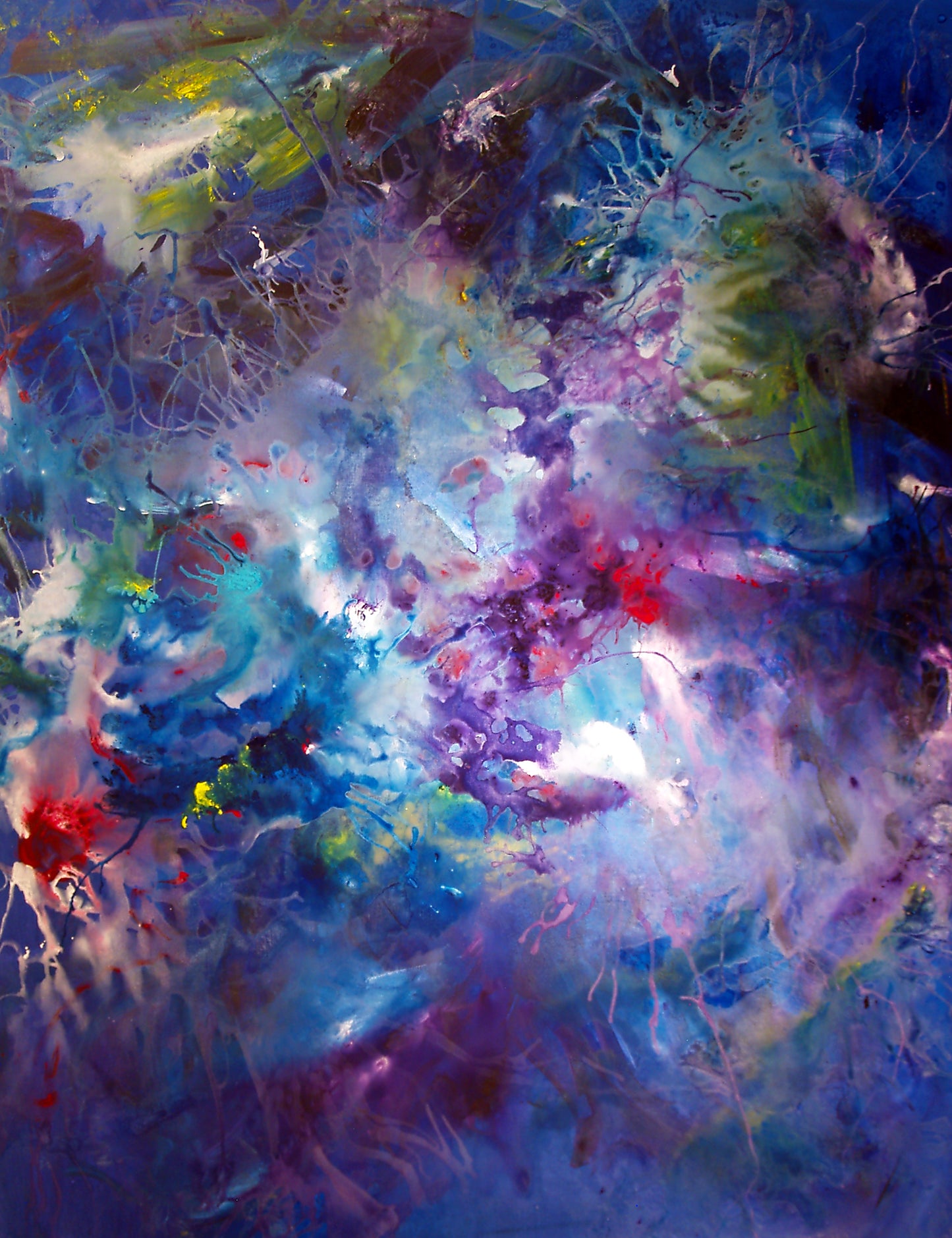 My Marine Sanctuary BeSculpt Giclée on Metal