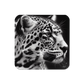 Leopard BeSculpt Art Cork-back Coaster
