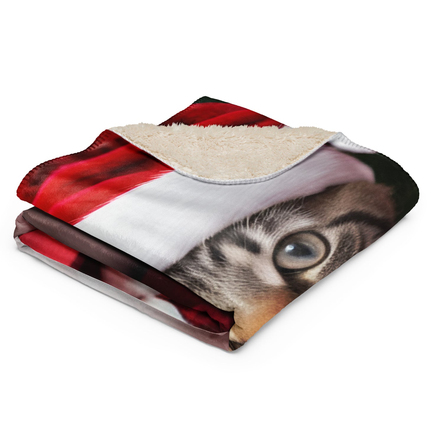 Kitty Claus Santa BeSculpt Photographic Art Sherpa Throw Blanket