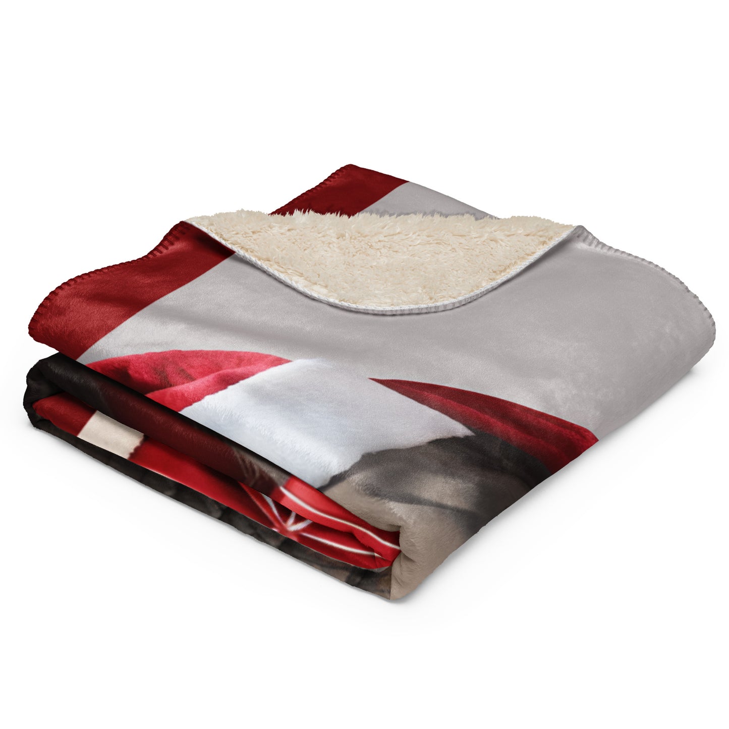 Gift in Trunk BeSculpt Photographic Art Sherpa Throw Blanket