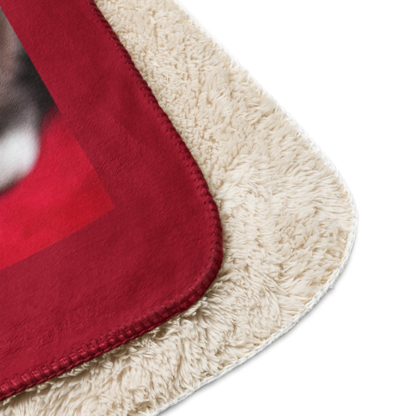 Purrfect Santa Kitty BeSculpt Sherpa Throw Blanket