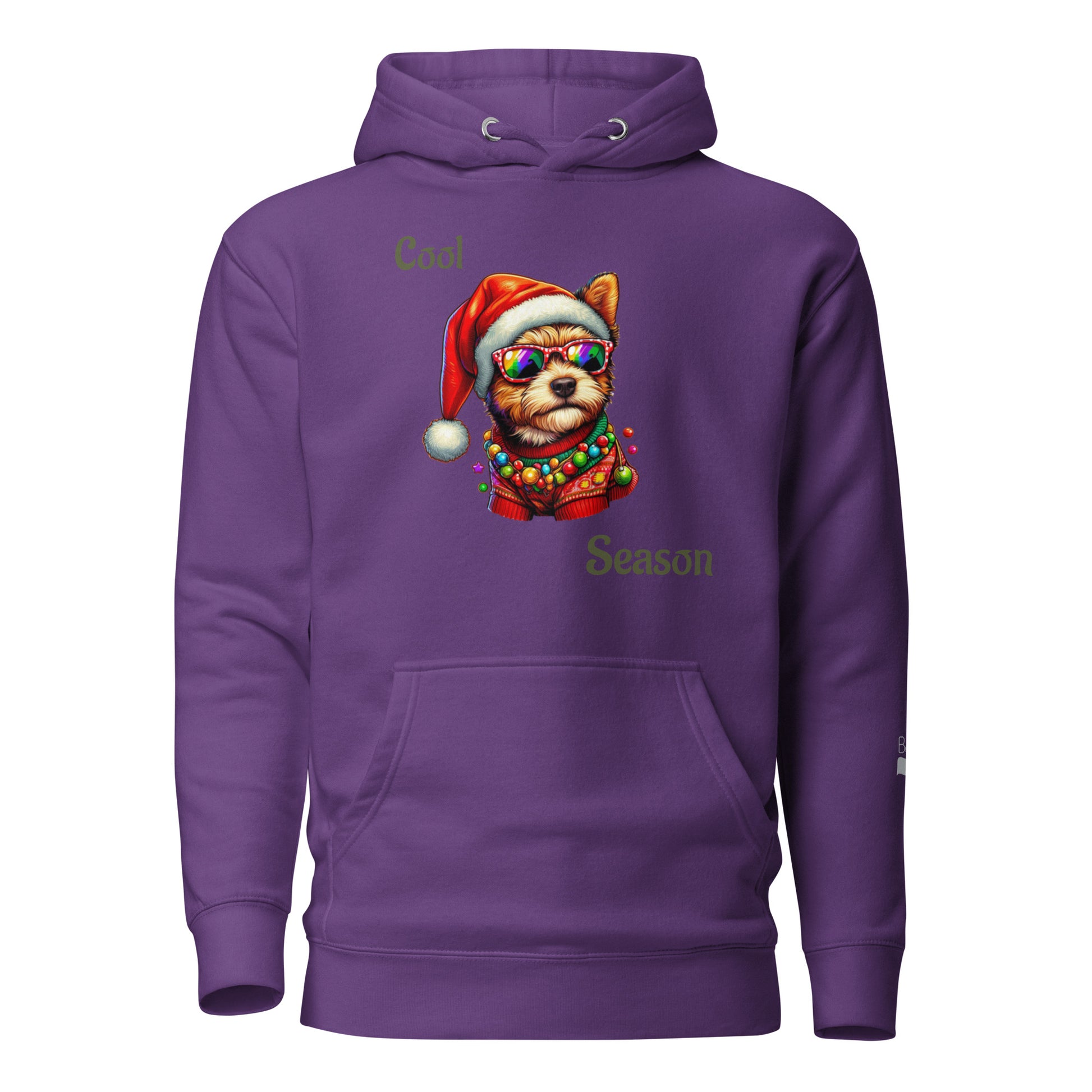 Cool Season BeSculpt Unisex Hoodie - Limited Edition Holiday Coolness